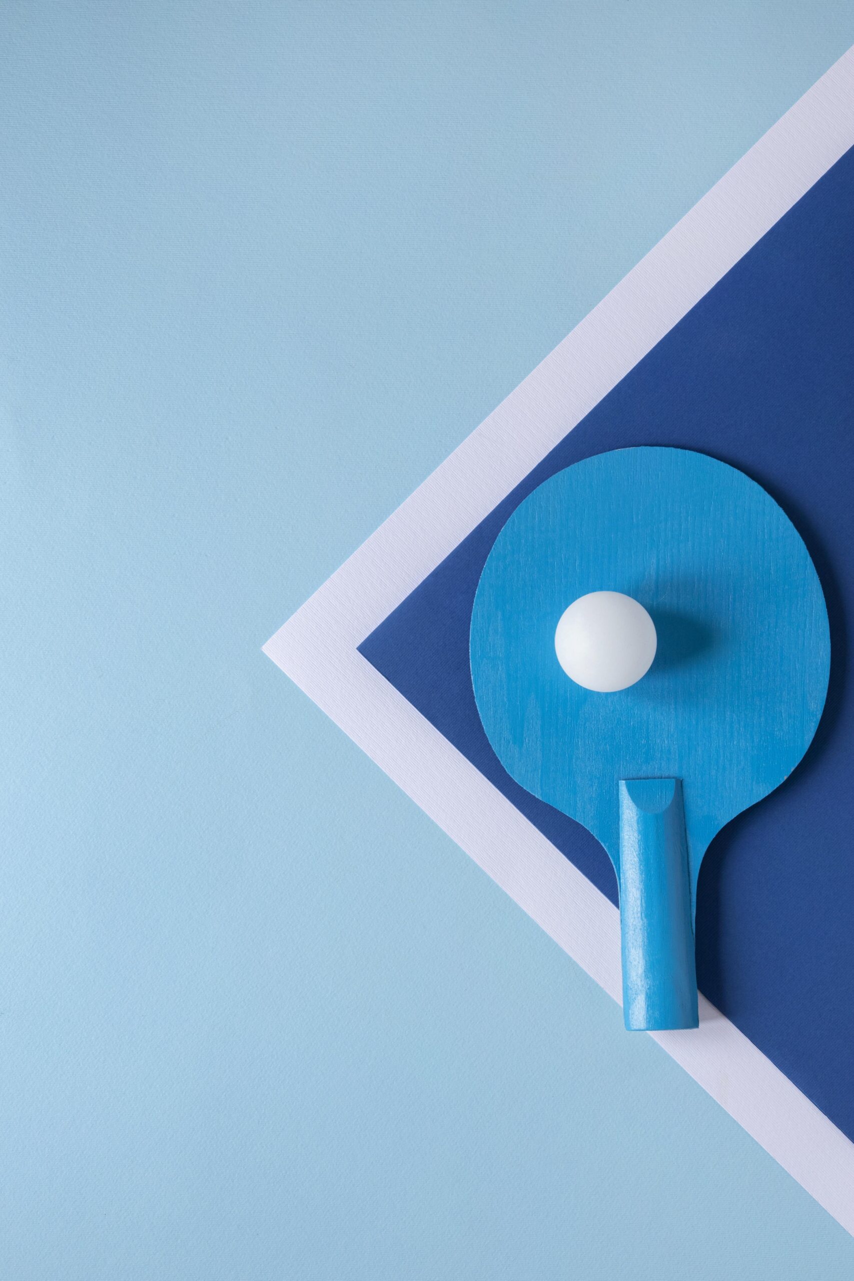 امکان سنجی کسبوکار 1 flat lay ping pong ball paddle scaled
